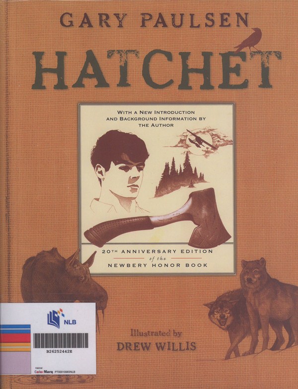 Hatchet image
