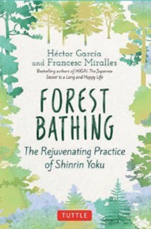 Forest bathing image